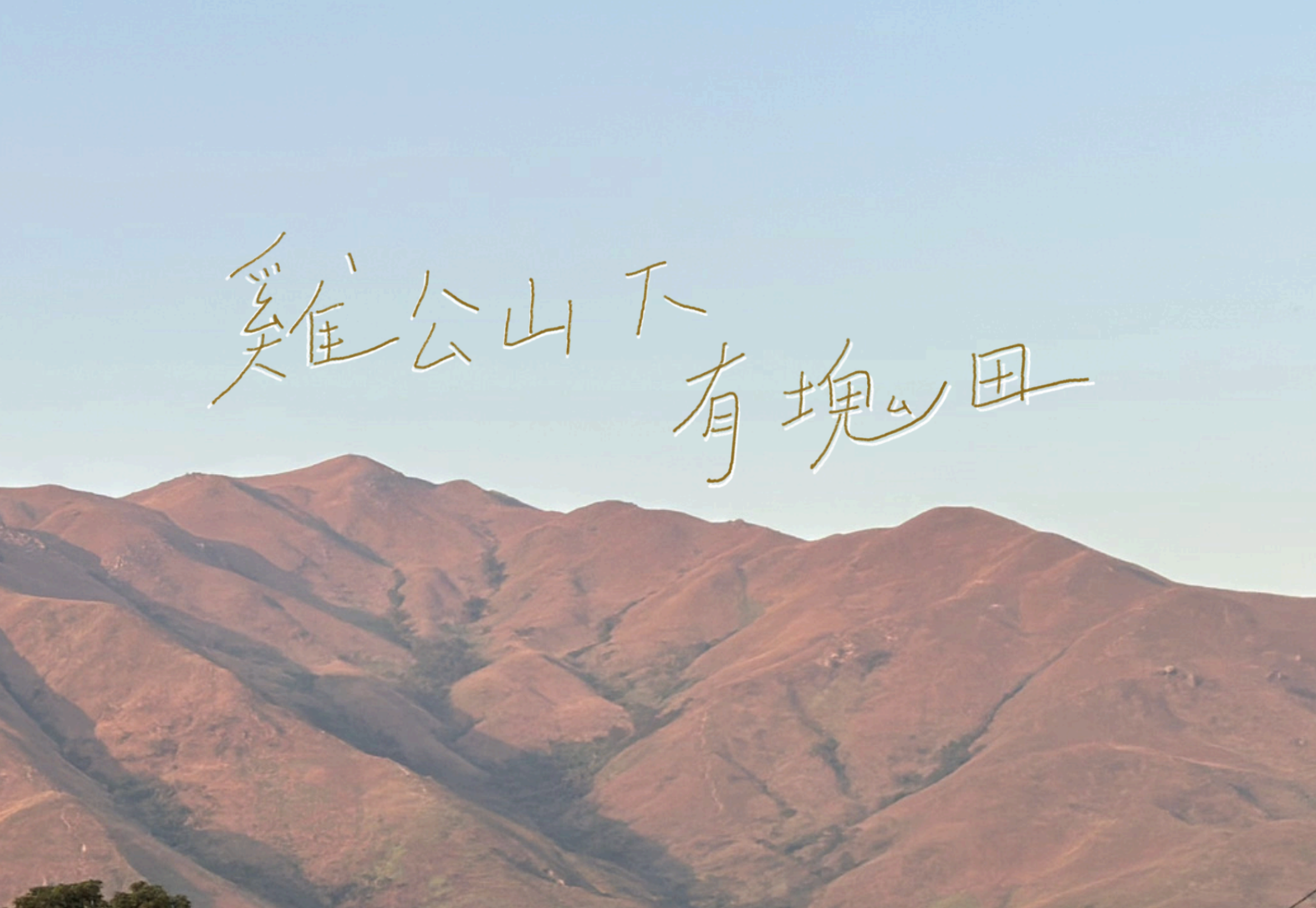 Taikongpology