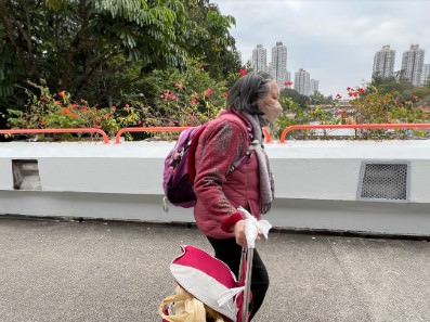 Footbridge Observation in Tai Po