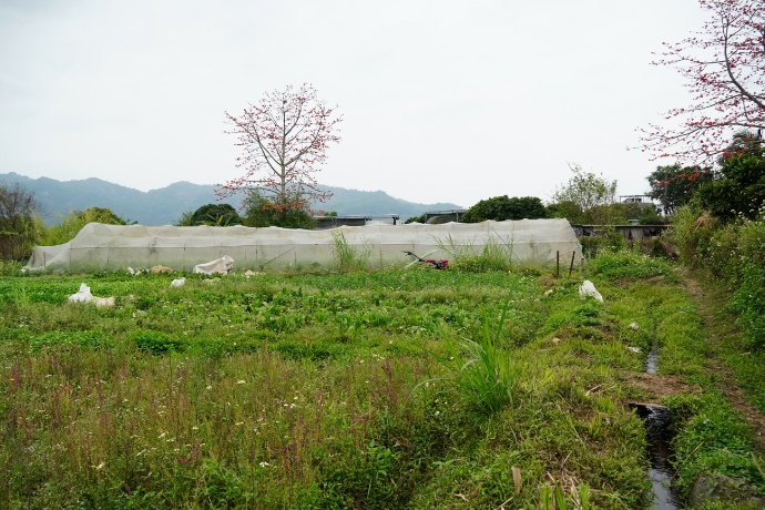 菜園農業先鋒田詩五首